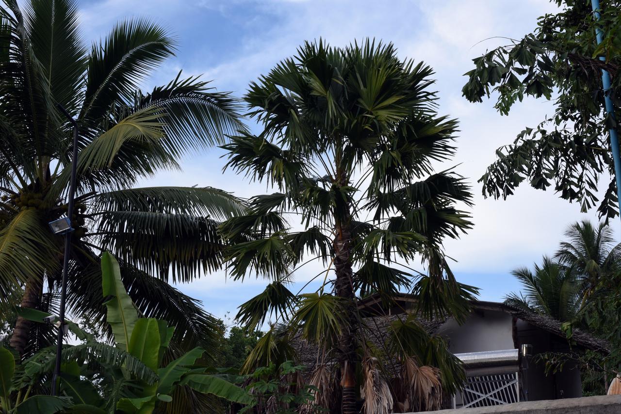 Sun And Green Eco Lodge - Dambulla Bagian luar foto