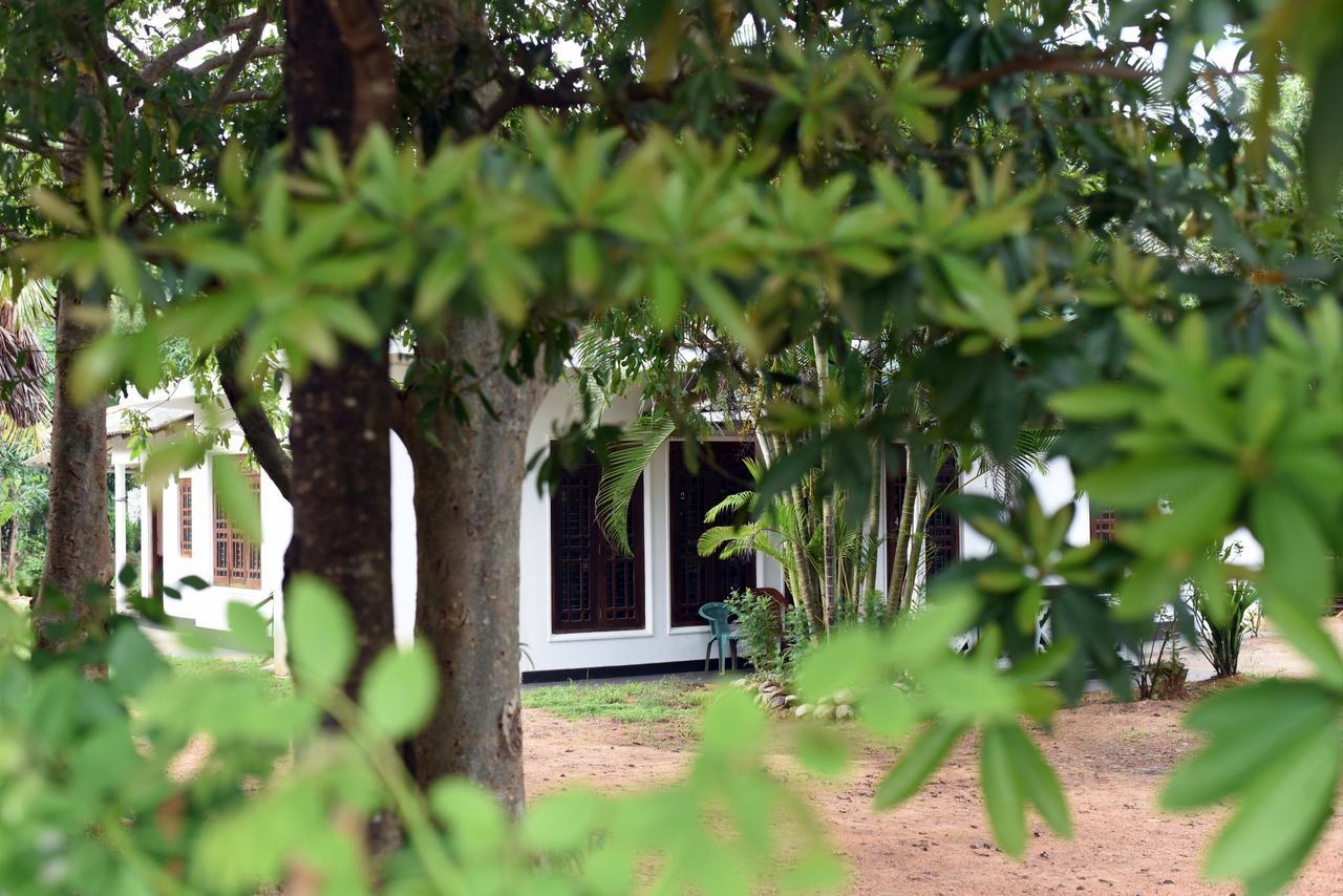 Sun And Green Eco Lodge - Dambulla Bagian luar foto
