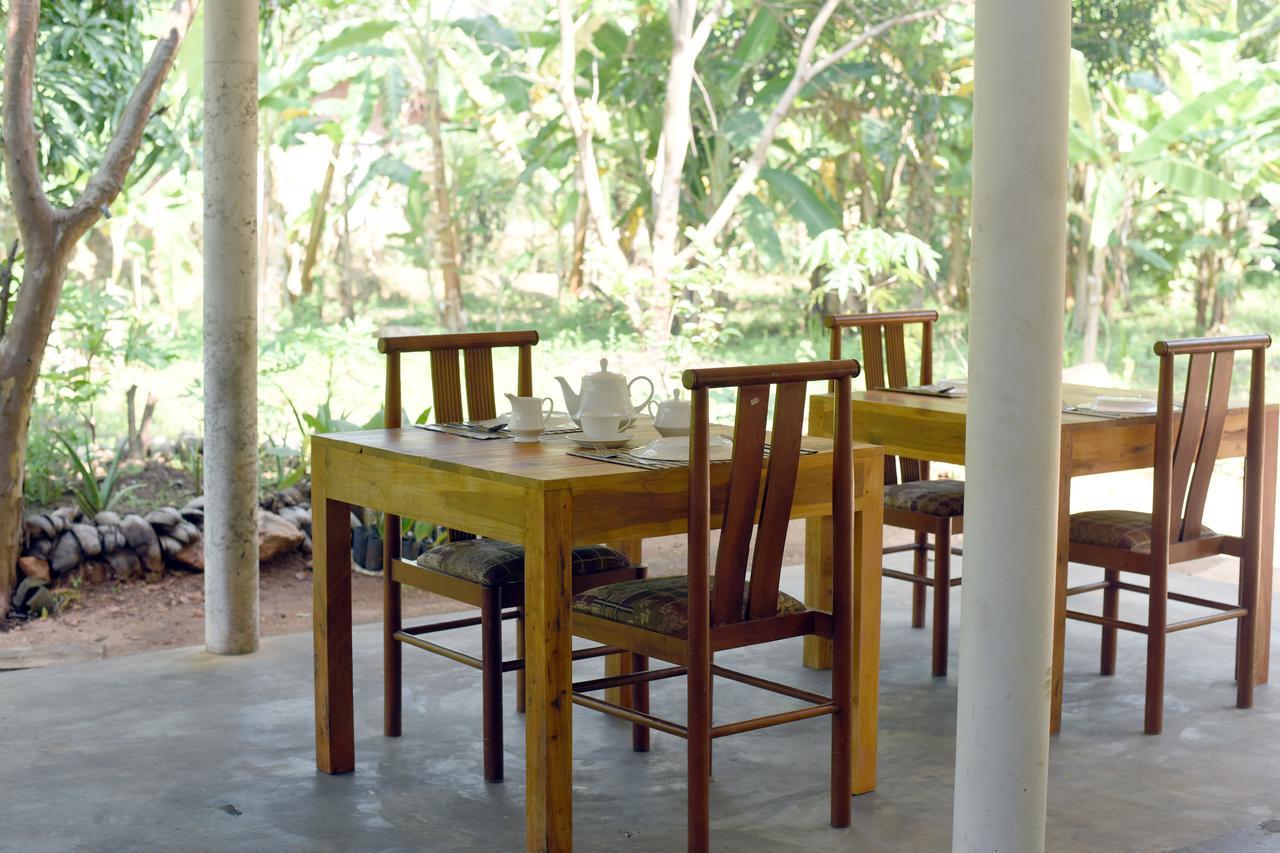 Sun And Green Eco Lodge - Dambulla Bagian luar foto