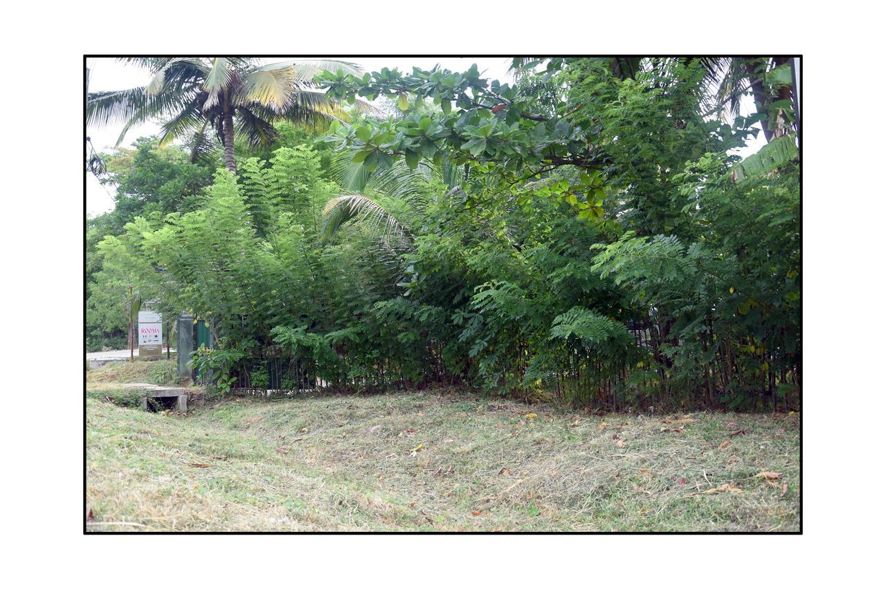 Sun And Green Eco Lodge - Dambulla Bagian luar foto