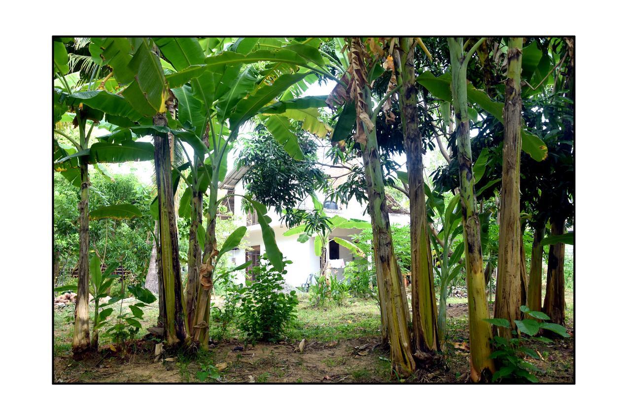 Sun And Green Eco Lodge - Dambulla Bagian luar foto