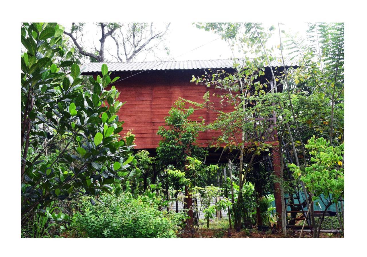 Sun And Green Eco Lodge - Dambulla Bagian luar foto