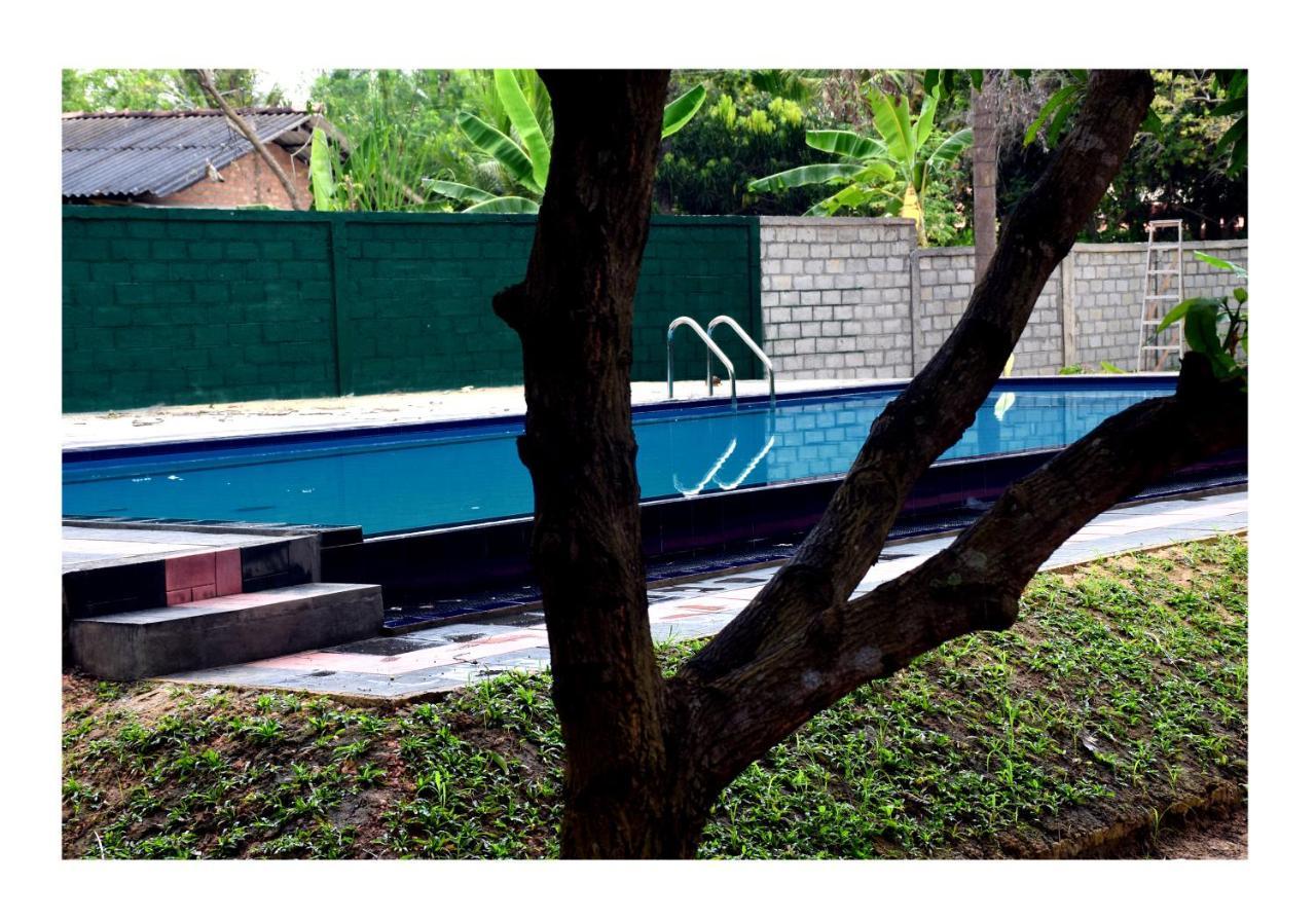 Sun And Green Eco Lodge - Dambulla Bagian luar foto