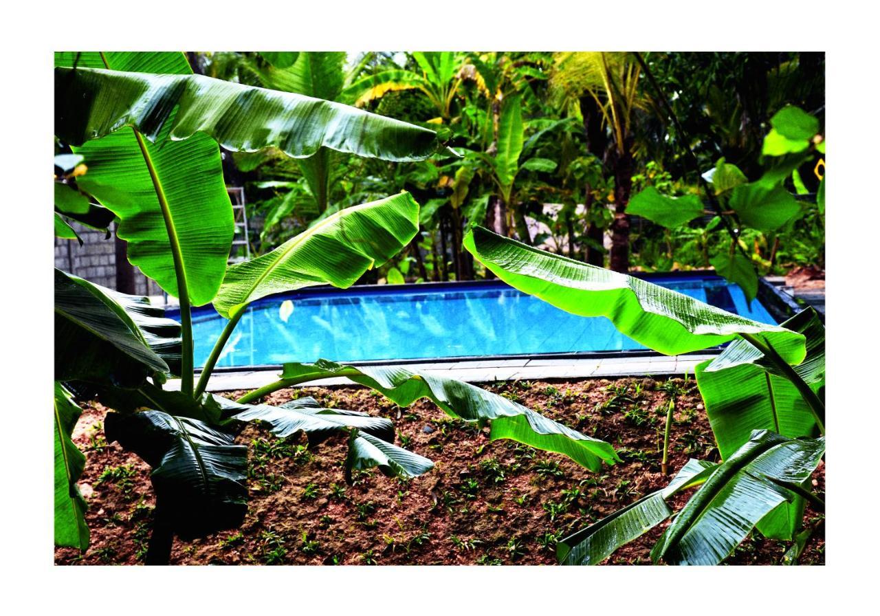 Sun And Green Eco Lodge - Dambulla Bagian luar foto