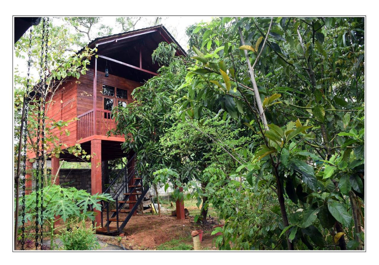 Sun And Green Eco Lodge - Dambulla Bagian luar foto