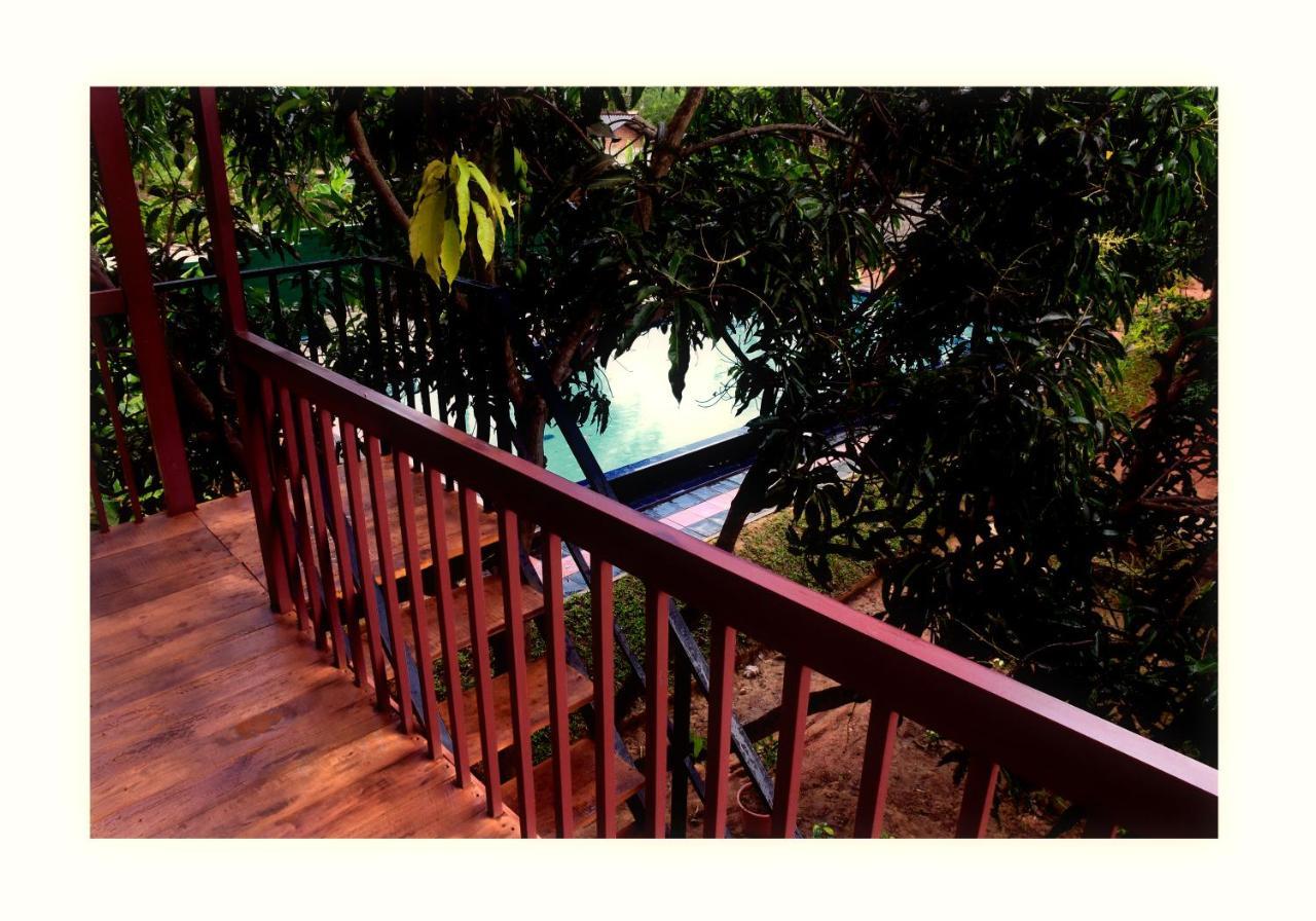 Sun And Green Eco Lodge - Dambulla Bagian luar foto