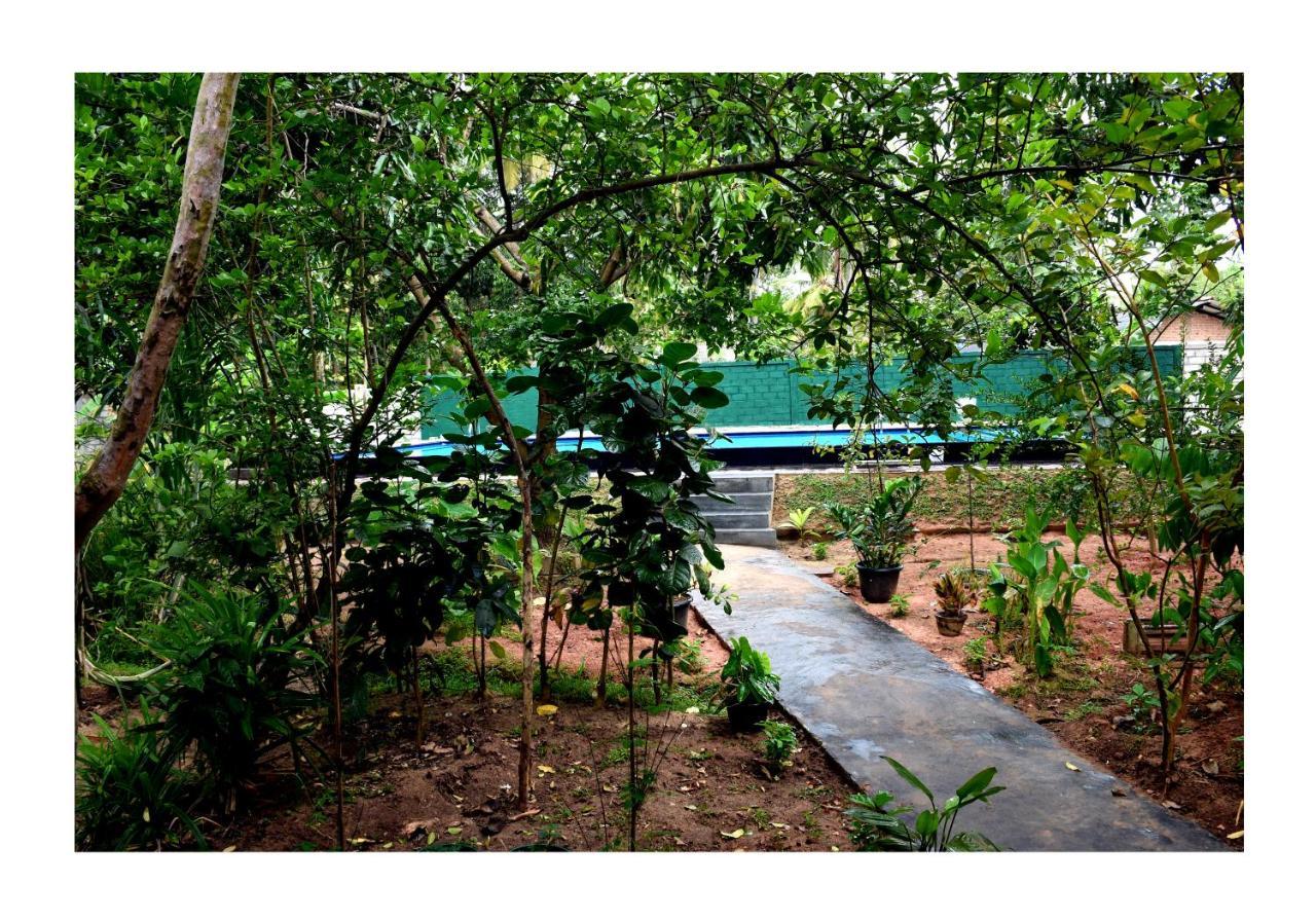 Sun And Green Eco Lodge - Dambulla Bagian luar foto