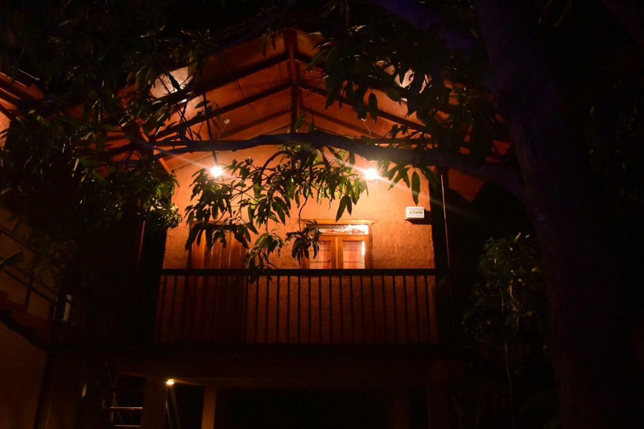 Sun And Green Eco Lodge - Dambulla Bagian luar foto