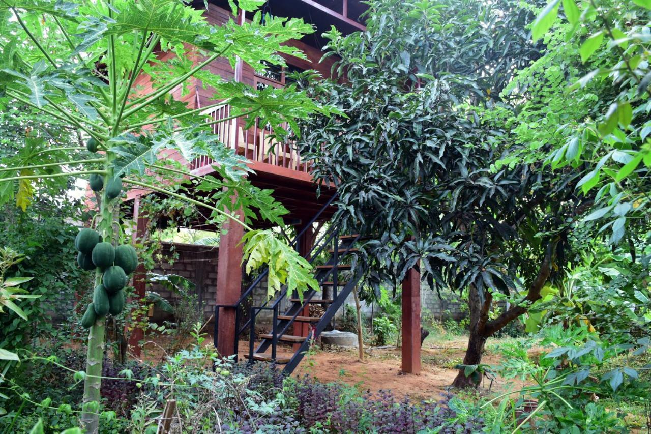 Sun And Green Eco Lodge - Dambulla Bagian luar foto