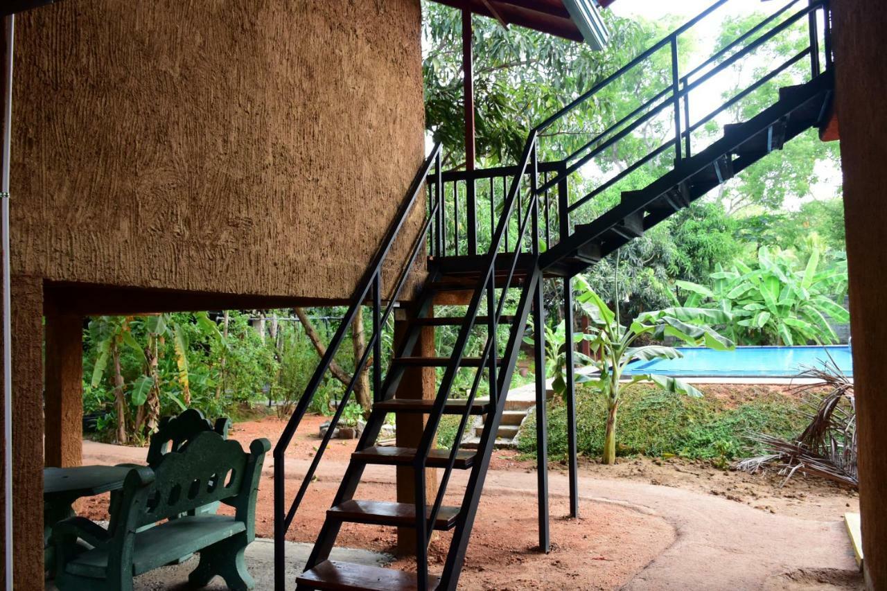 Sun And Green Eco Lodge - Dambulla Bagian luar foto
